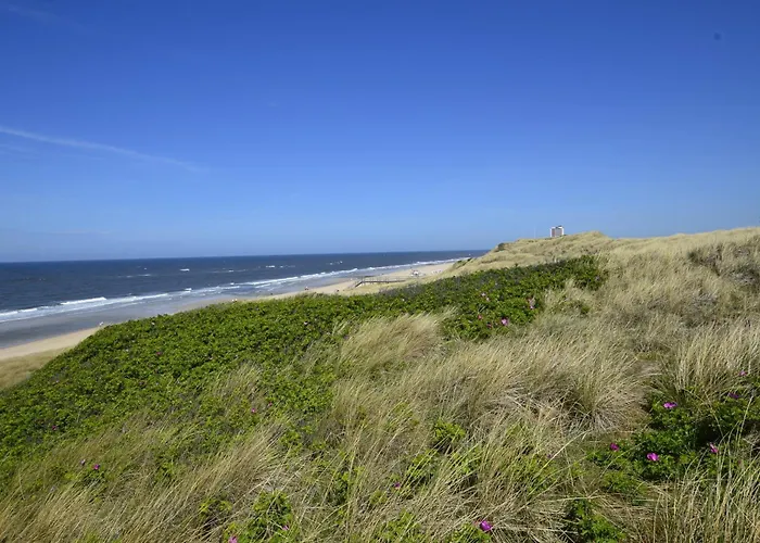 Alice, App 36-7 * Westerland